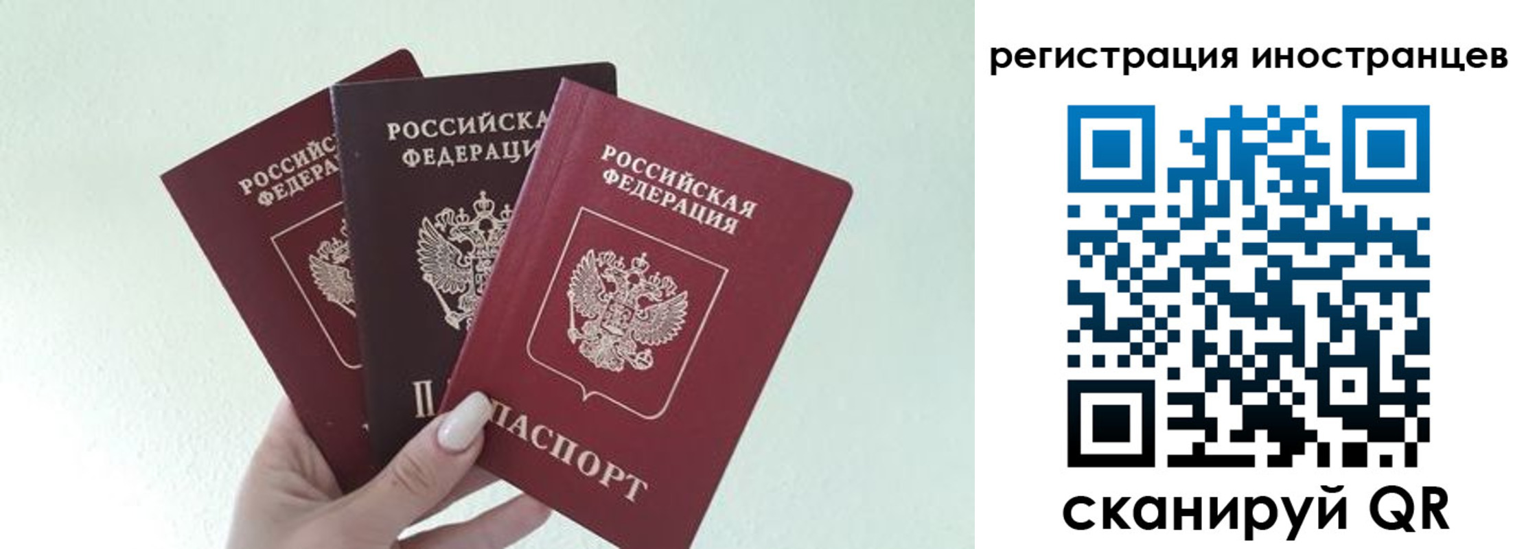 миграционный учет в Ардоне